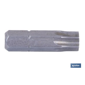 Punta para atornillador de Acero | Modelo 1/4 Torx | Longitud 25 y 50 mm