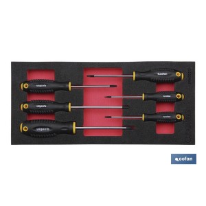 Módulo de espuma con herramientas  | Para 1/3 cajón del carro de herramientas cofan | Destornilladores torx 6 piezas