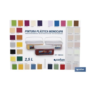 Carta de Colores para Pintura Plástica Monocapa con 40 Muestras de Color